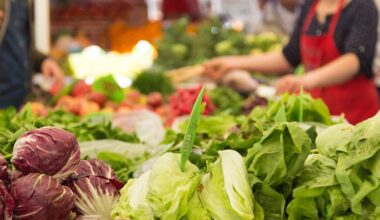 We Ran A Stock Scan For Earnings Growth And Scales (NZSE:SCL) Passed With Ease