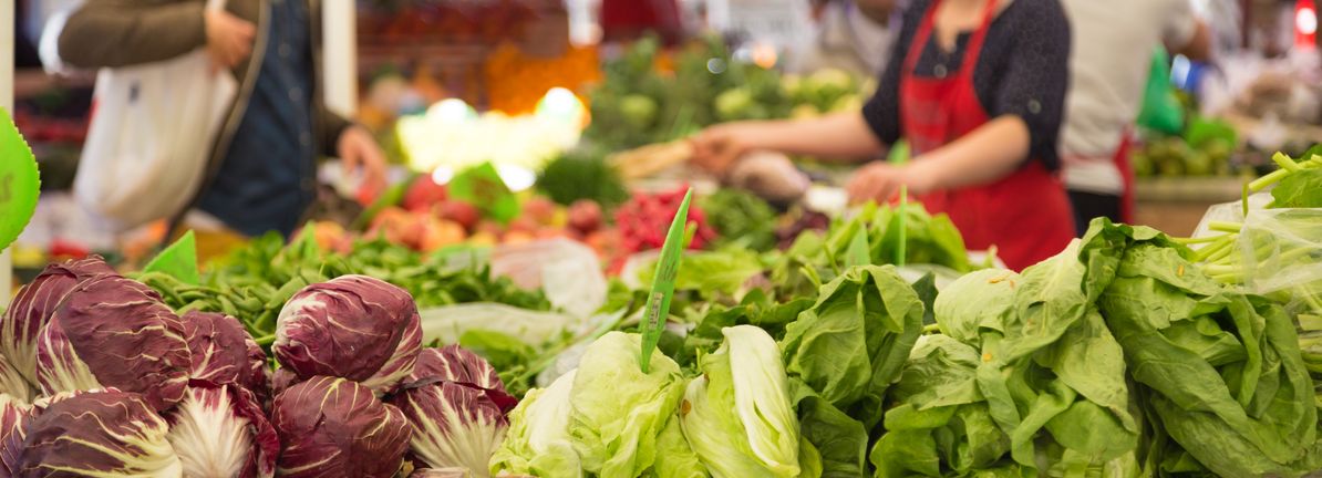 We Ran A Stock Scan For Earnings Growth And Scales (NZSE:SCL) Passed With Ease