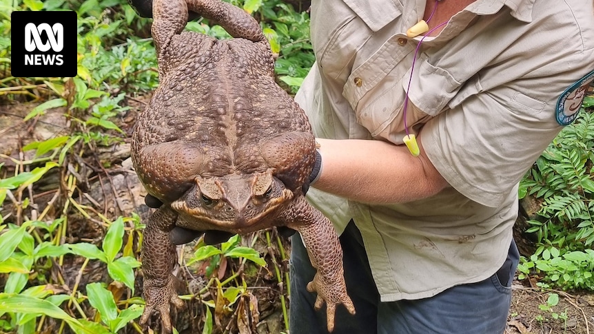 This week in history quiz, January 12: Test your knowledge