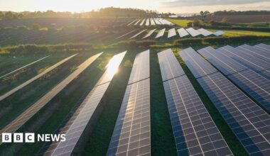 Rows of solar panels in green fields and between hedgerows.