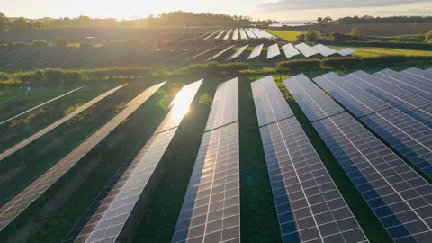 Getty Images Rows of solar panels in green fields and between hedgerows. 