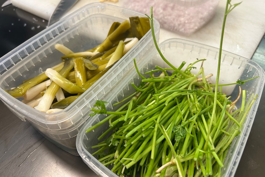 Two containers of green vegetables.