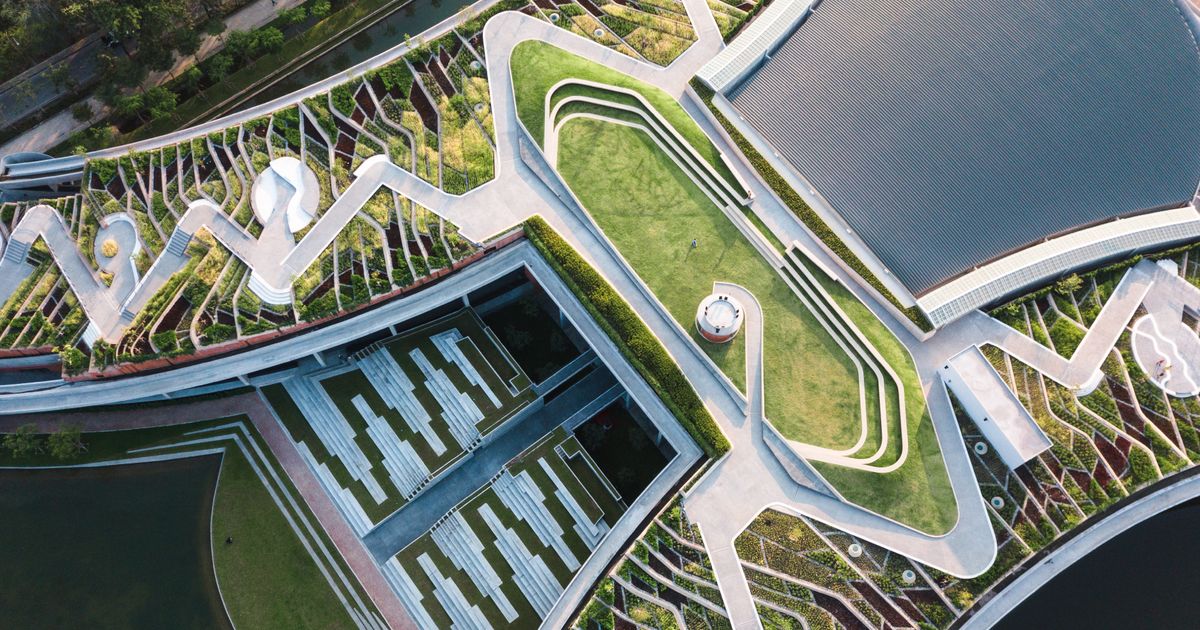 Hammer Museum presents In Focus: Transformation - Announcements