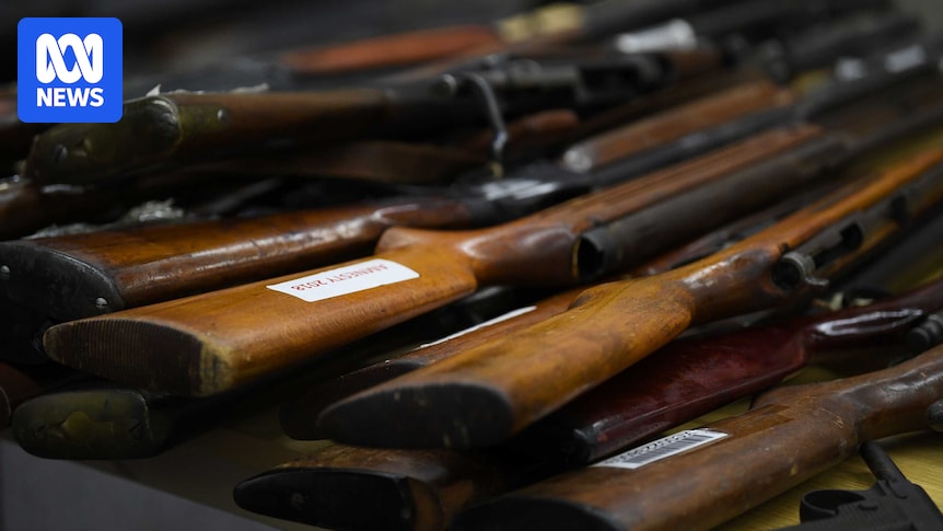 NT government rejects Albanese's national gun buyback scheme over co-funding proposal