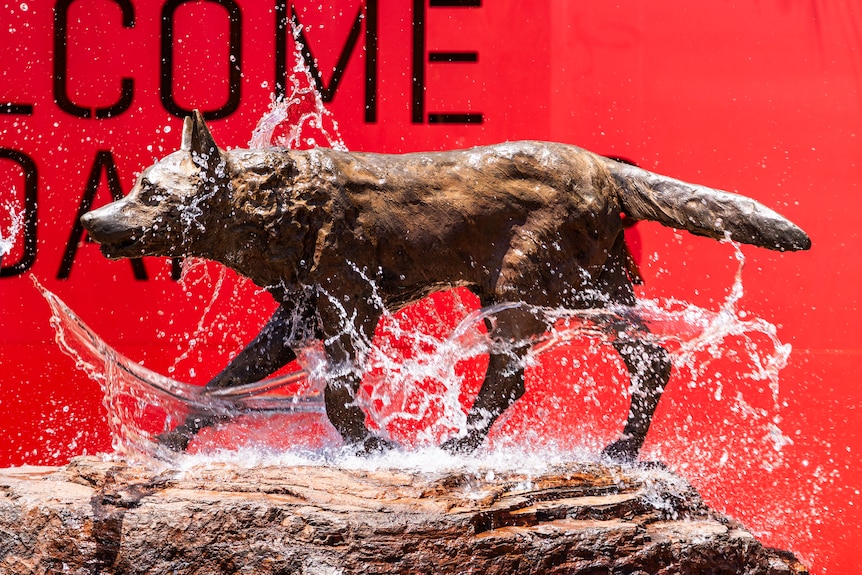 A bronze statue of a dog is surrounded by splashes of water. The background is red.