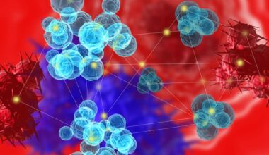 Zevor-Cel Shows Long-Term Efficacy in Small R/R Multiple Myeloma Population