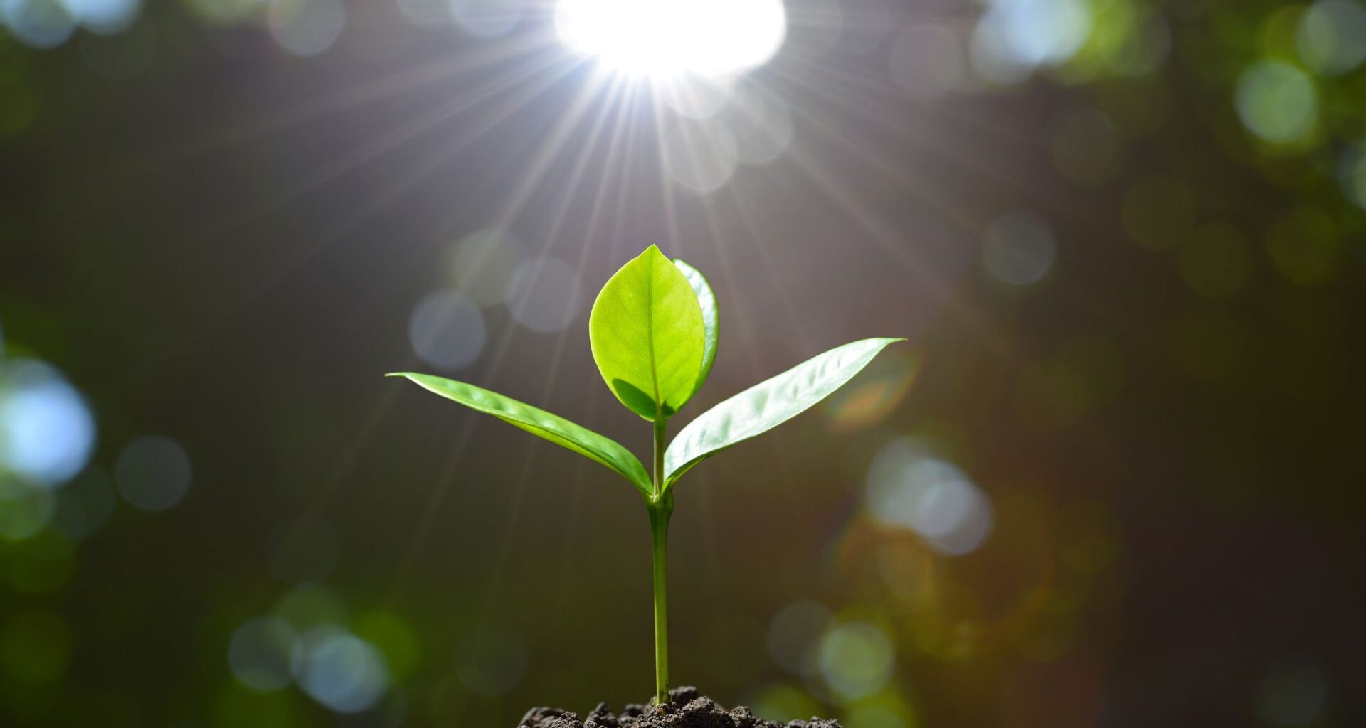 I tried a New Year meditation and it completely changed my attitude to 2026