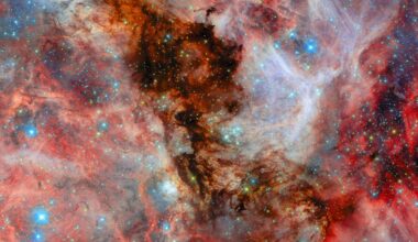 A field filled with stars and covered by clouds of gas and dust. In the centre, a thick column of dark black dust blocks light from stars that light it up from behind. More clouds behind those stars are illuminated in pale colours. Complex, layered filaments of red dust lie to the left and right. Blue, white and gold stars in various sizes can be seen around, within and through the colourful layers of dust.