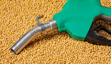 EU to phase out damaging soy biofuels