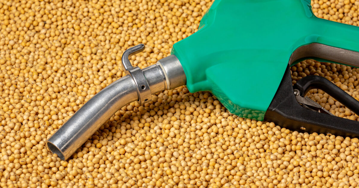 EU to phase out damaging soy biofuels