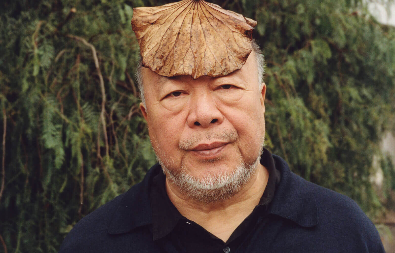 ai weiwei ai weiwei interview