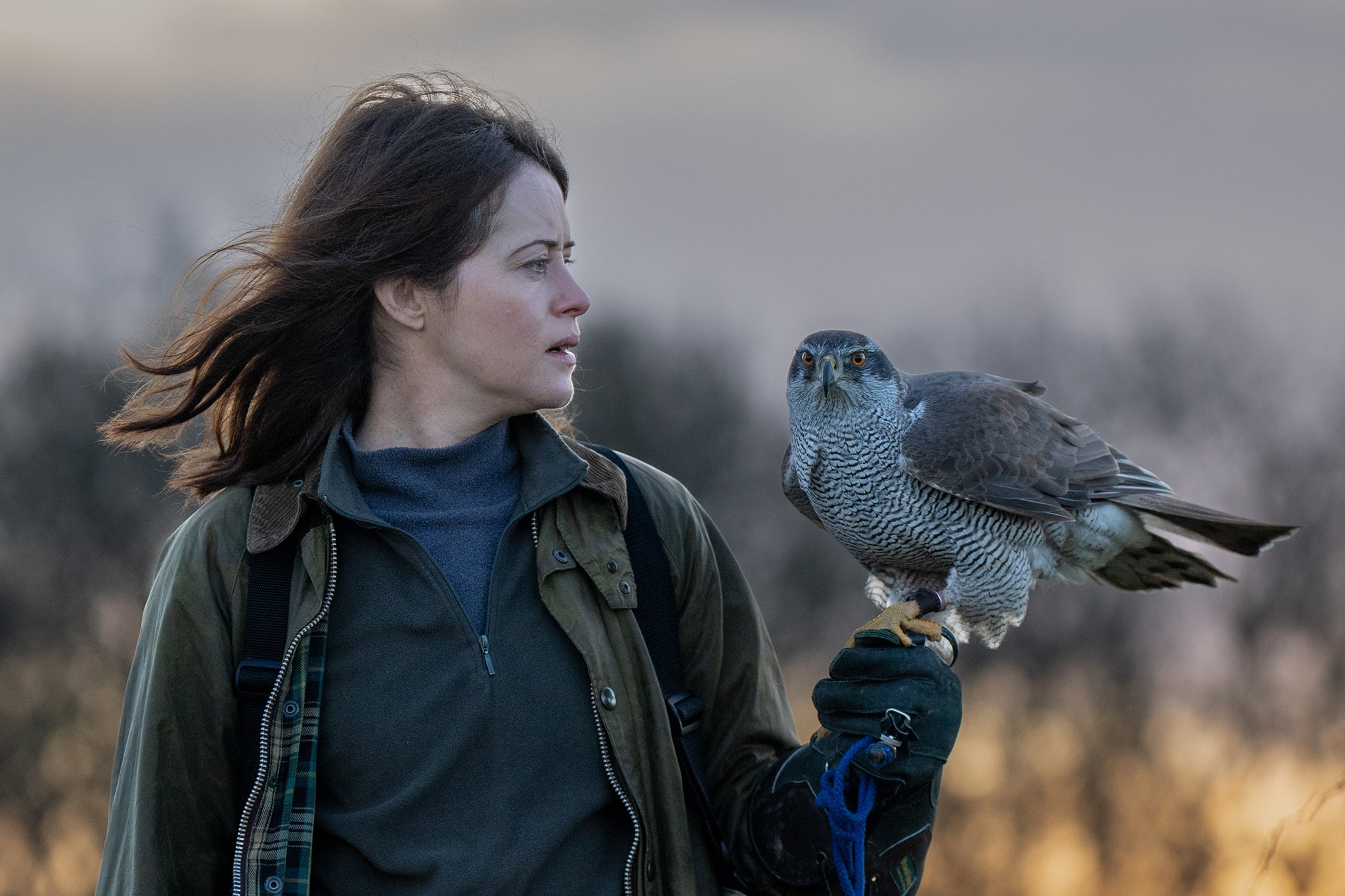Claire Foy excels as Mabel in ‘H Is for Hawk’