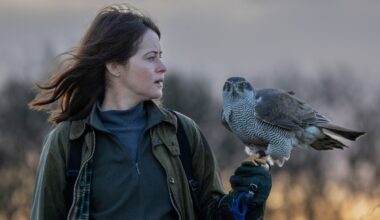 H Is for Hawk review – Claire Foy is remarkable in this tender tale of grief