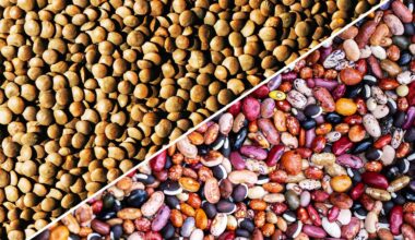 Which Is Better for Protein, Fiber, and Nutrition?