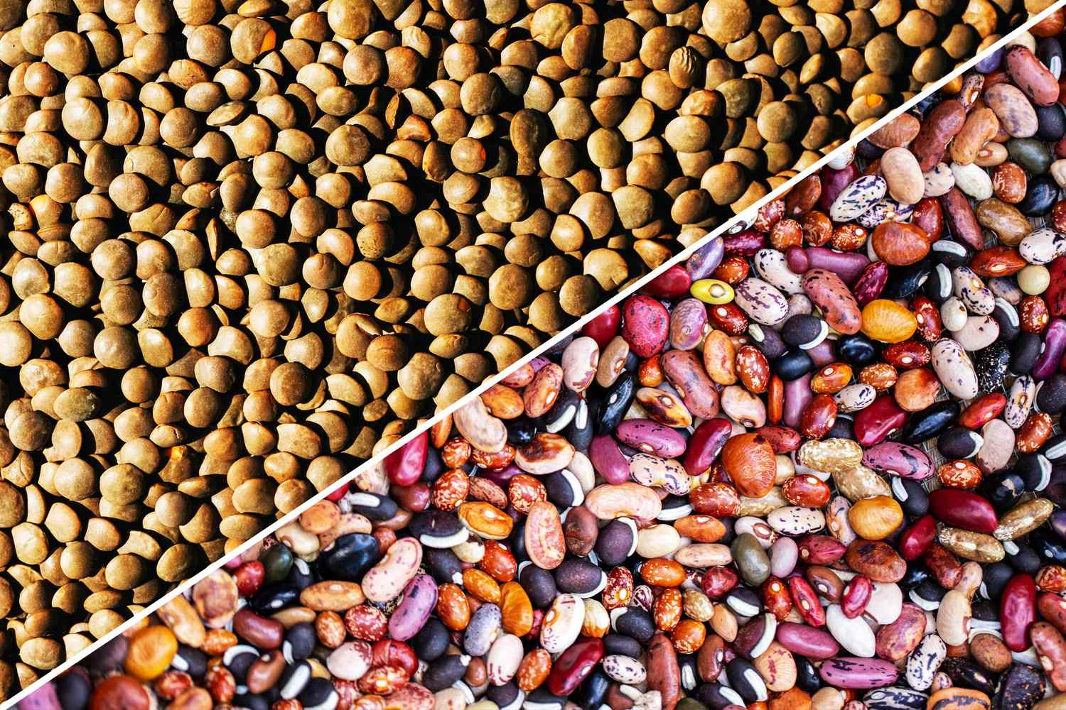 Which Is Better for Protein, Fiber, and Nutrition?