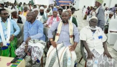 Afar tribe seeks Israeli support amid Iranian expansion and Eritrean repression