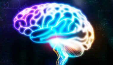 A Hidden Brain Signal Can Predict Alzheimer's Years Before Diagnosis : ScienceAlert