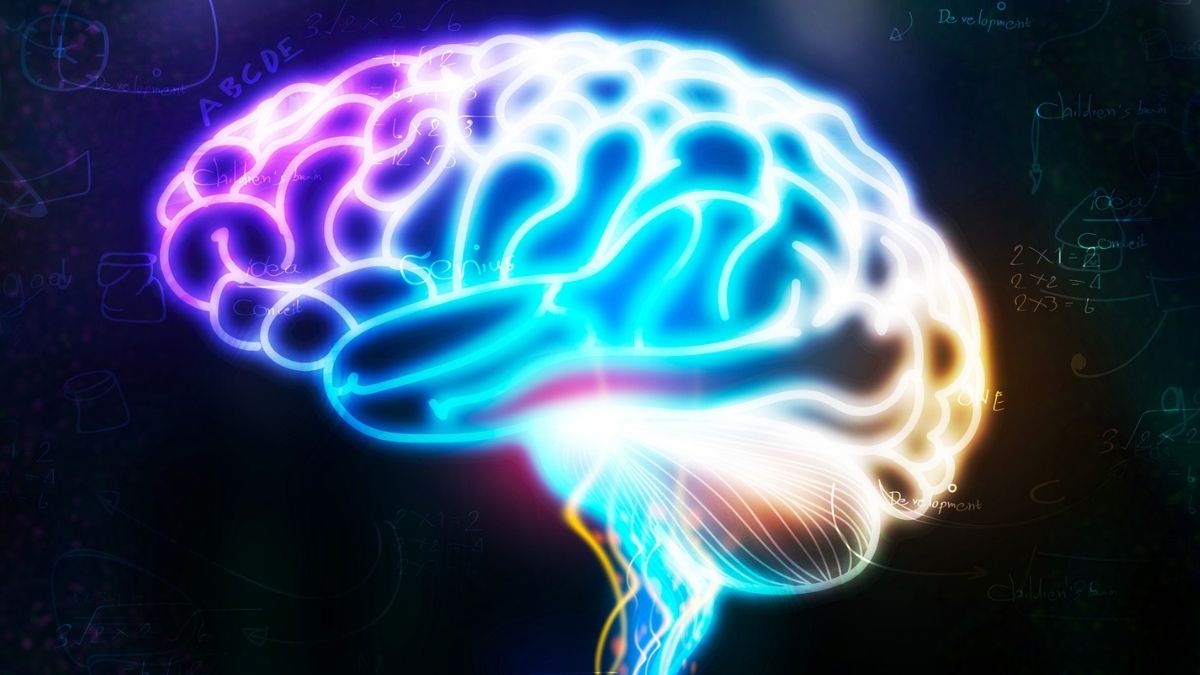 A Hidden Brain Signal Can Predict Alzheimer's Years Before Diagnosis : ScienceAlert