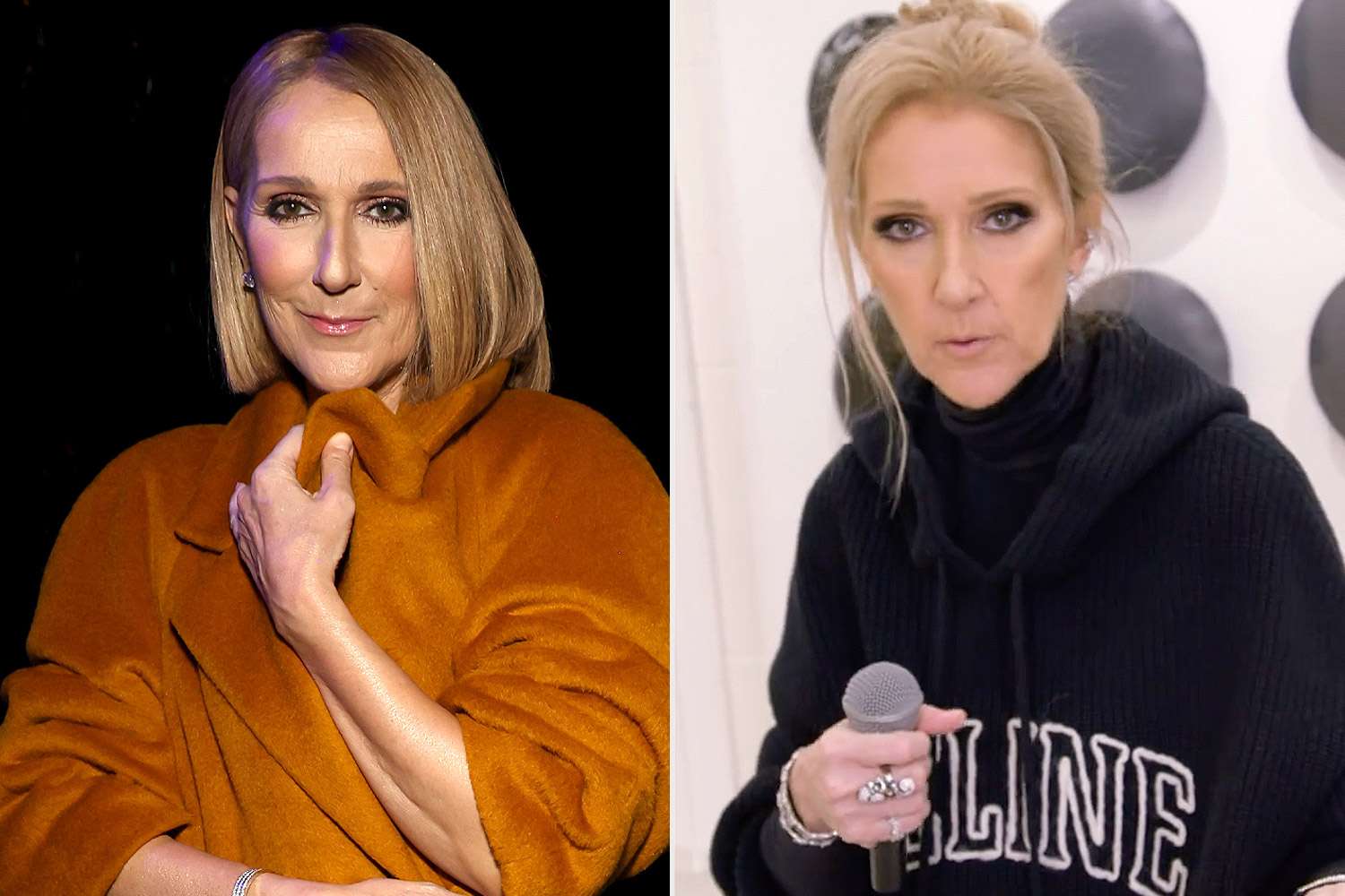 Céline Dion Reveals the Relatable and Unhinged Essentials in Her Dior Bag