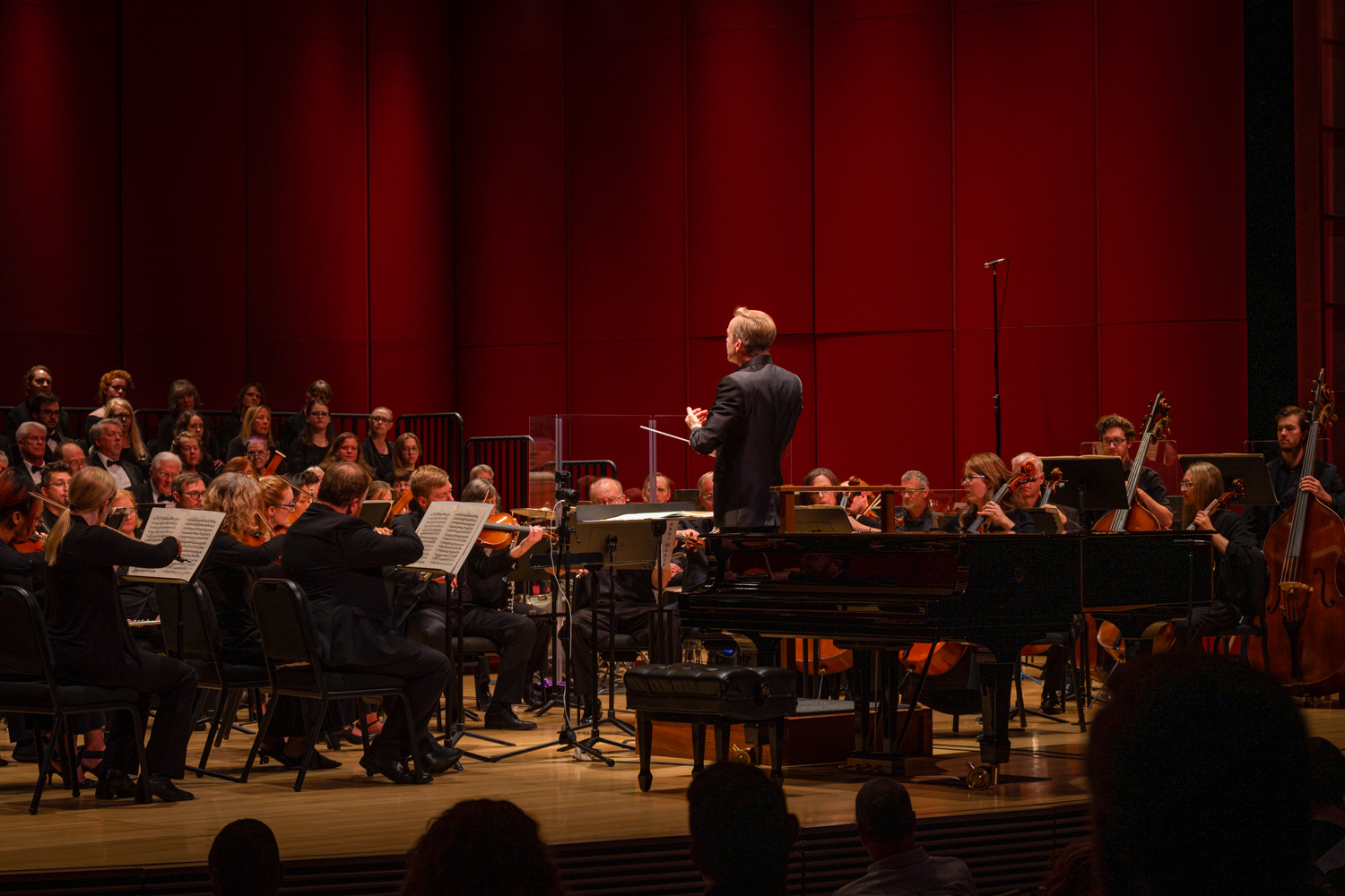 orchestra musicians and conductor on a stage