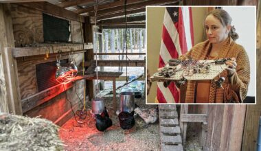 Cowboy State Daily logo