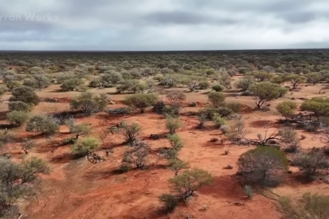 Degraded lands in Australia are being treated with wool, reducing evaporation, reactivating microorganisms, and increasing harvests, with indicators of water, moisture, and productivity transforming organic waste into an agricultural strategy.