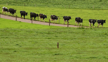 A preliminary study on virtual fencing