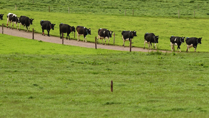 A preliminary study on virtual fencing