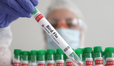 Israel reports bird flu outbreak on farm in north, WOAH says