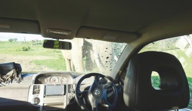 Daniel Stiles elephant Kenya