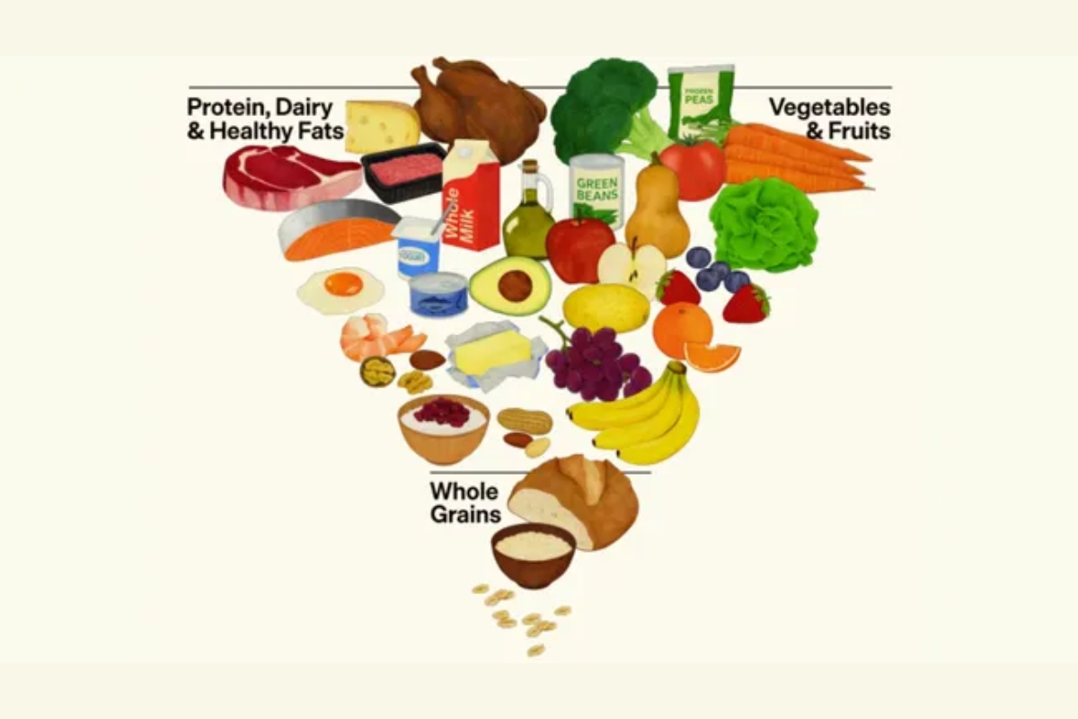 The United States government publishes a new food pyramid that emphasizes meat, eggs, fish, whole milk, butter, and beef fat, while reducing the focus on grains.