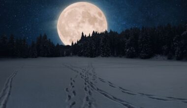 Don’t Miss This Weekend’s Full Moon, It Will Do Something We Won’t See Again Until The 2030s