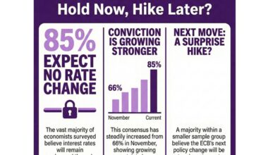 ECB not expected to change policy stance to start the year - poll