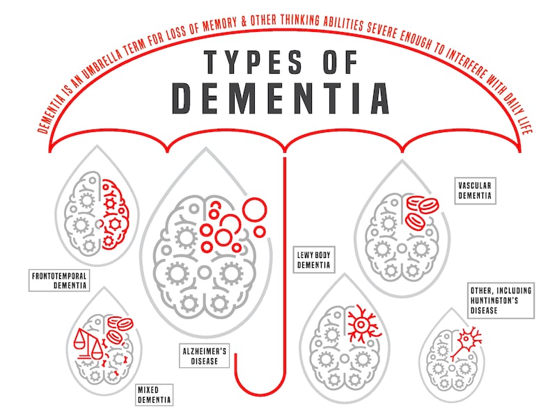 Types of dementia: 'From a pathological perspective, LBD and Parkinson's are opposite sides of the same coin. But the symptoms and the experience that patients can have at an individual level vary hugely'