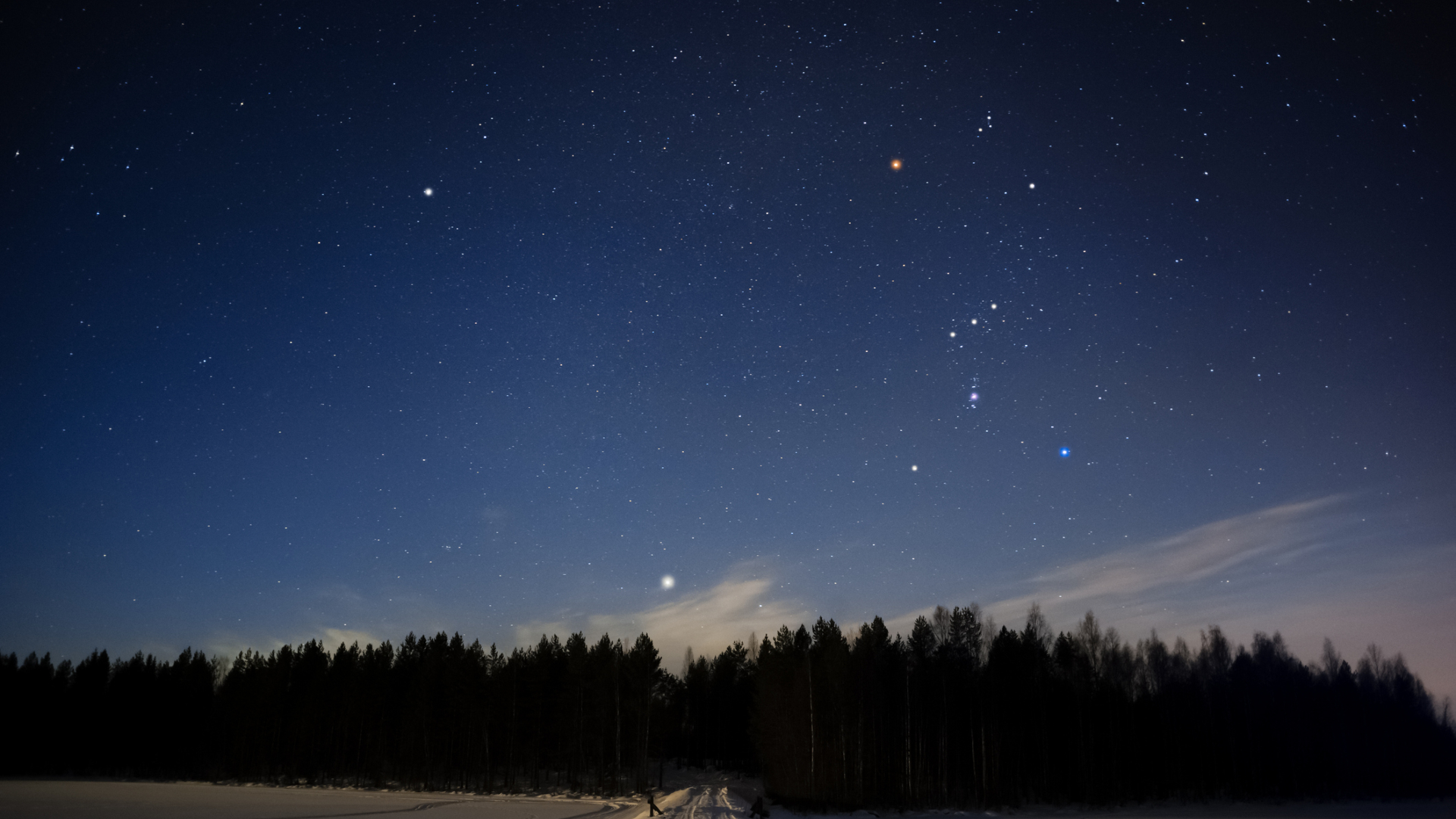 A cluster of small bright stars twinkle in a dark blue night sky which overlooks a road and a forest of dark pine trees