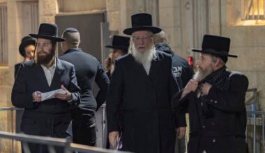 UTJ's Eichler to be appointed deputy minister, preventing him voting against draft bill