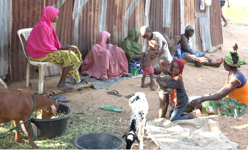 Sick, stranded, and overlooked... life inside Abuja’s forgotten leprosy settlement