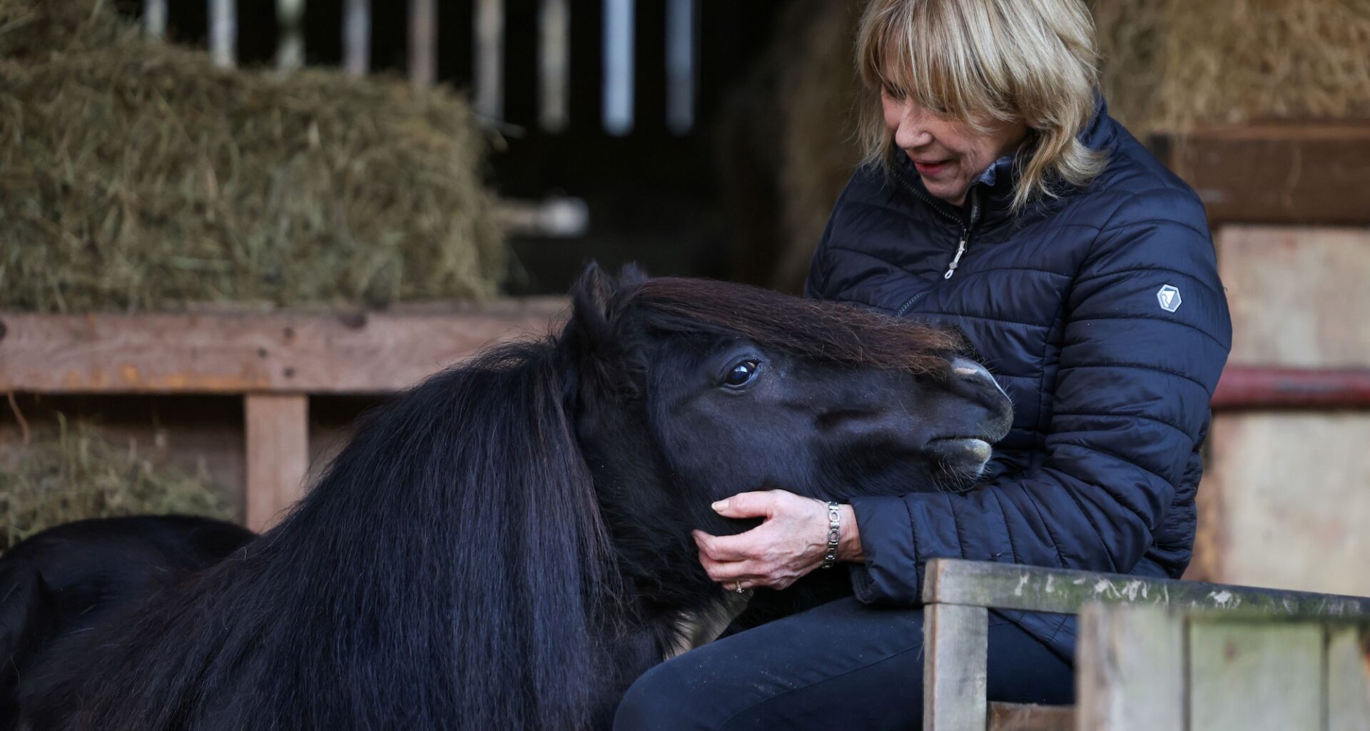 ‘Miracle’ pregnant mare temporarily blinded by life-threatening sepsis survives – and keeps her unborn foal