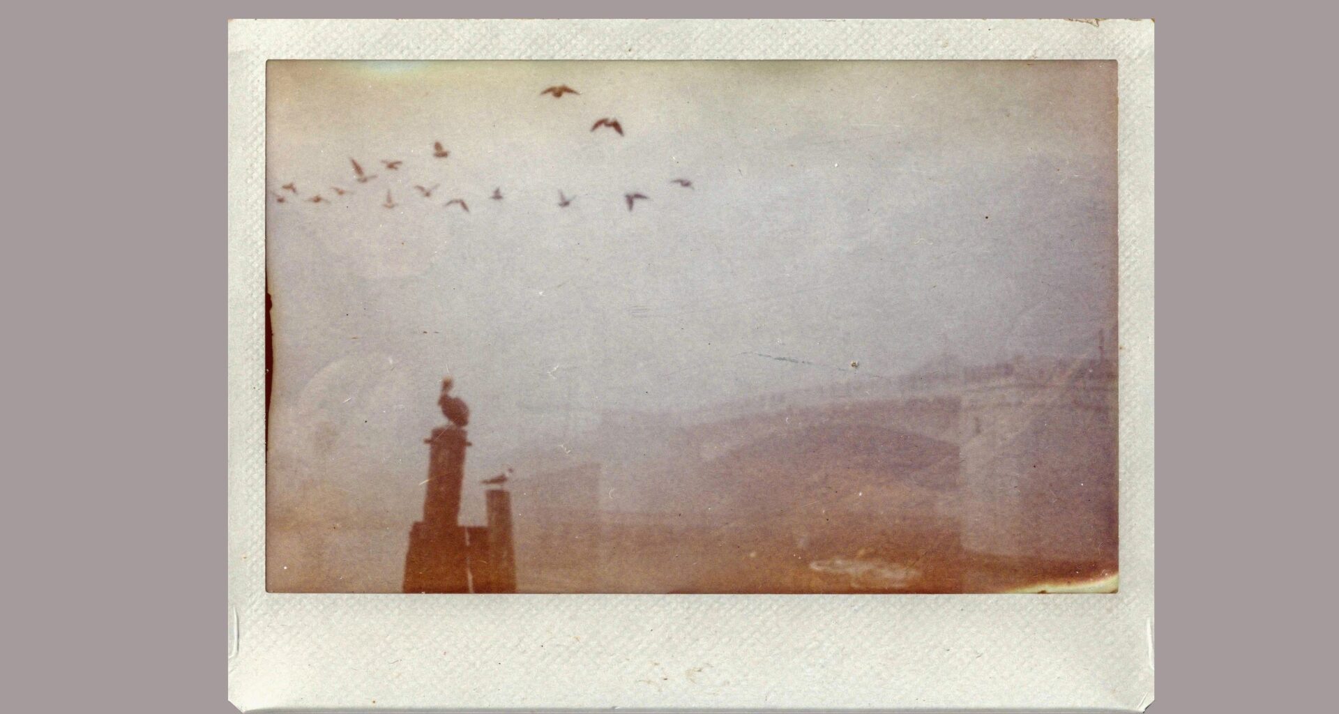 “Make this look like film” – I tried VSCO’s new AI prompt photo editing. It’s not perfect, but it did generate retro looks