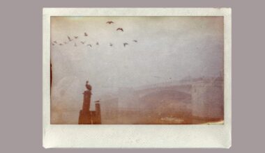 “Make this look like film” – I tried VSCO’s new AI prompt photo editing. It’s not perfect, but it did generate retro looks