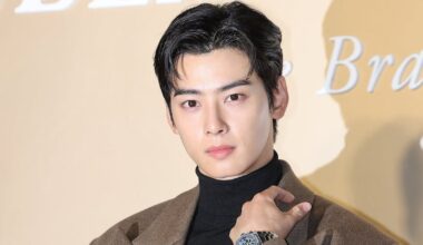 Cha Eun-woo's 2 Billion Won Tax Case Could Lead to Prosecution - 조선일보