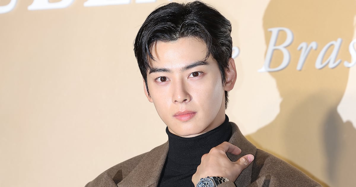 Cha Eun-woo's 2 Billion Won Tax Case Could Lead to Prosecution - 조선일보