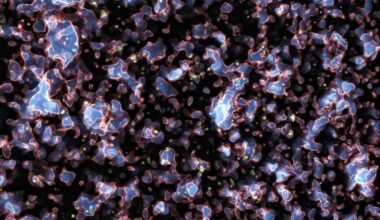 Studying bubbles from the early Universe: an efficient matched filter approach