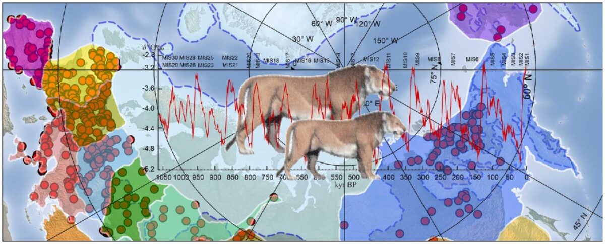 Geographic Spread Of Cave Lion Evidence Through Time
