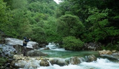How Does Nature Contribute to the Economy? These Environmental Accountants Are Trying to Find Out