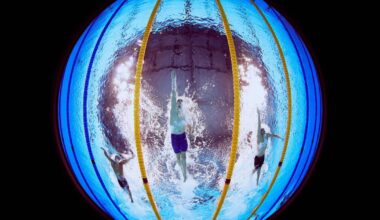 Aquatics Integrity Unit Opens Applications for Pro Bono Counsel List