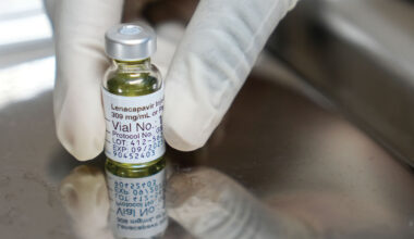 HIV can develop resistance to lenacapavir, but at a cost to the virus