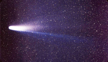 Image of Halley's Comet