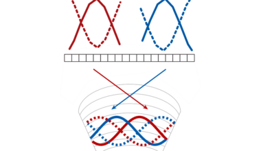 Figure illustrating how populations of neurons can invert vectors, encoded as sinusoids, using dual signaling capabilities. (Credit: Maimon lab)