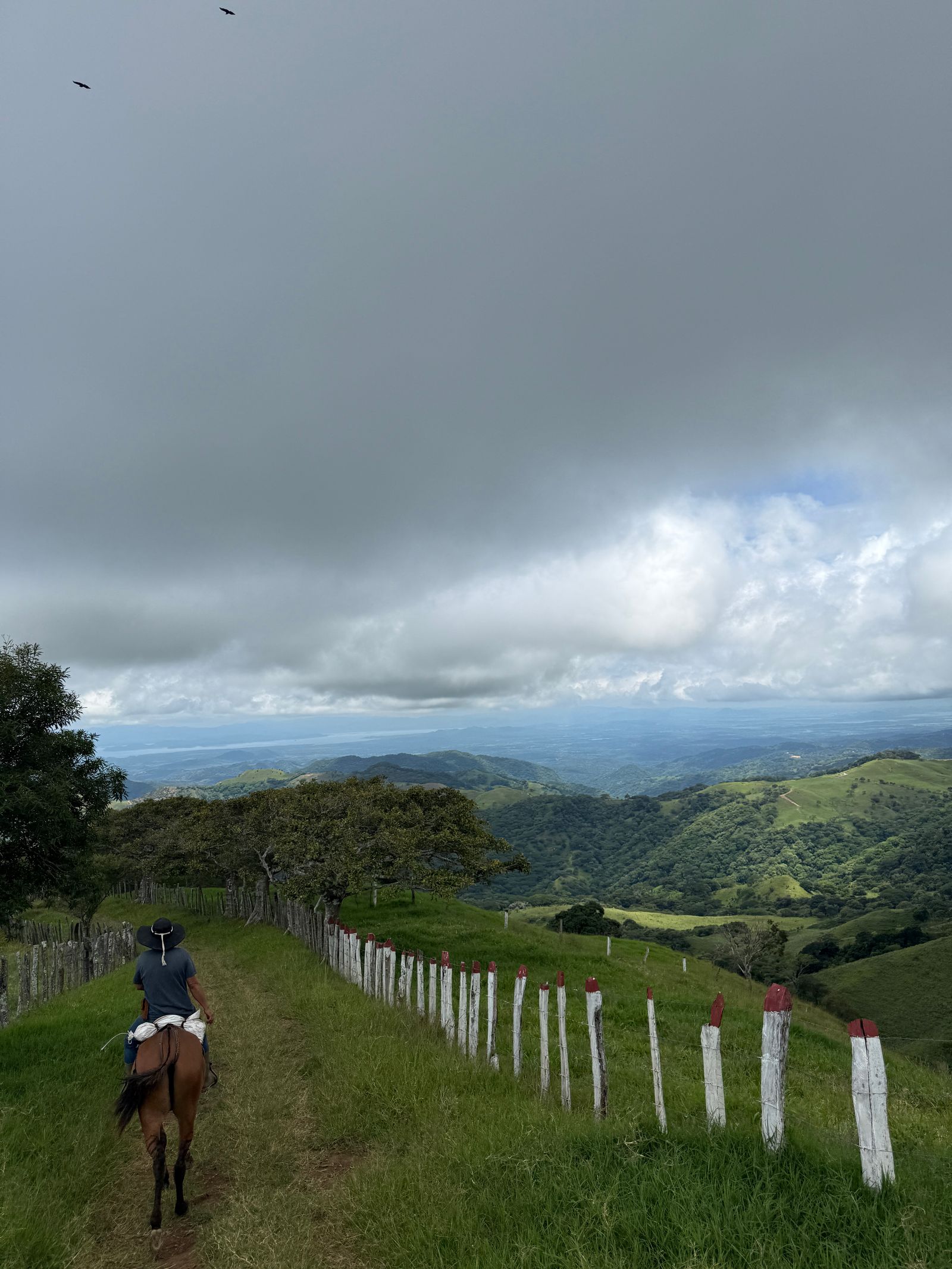 Image may contain Person Animal Horse Horseback Riding Leisure Activities Mammal Clothing Hat Outdoors and Bird